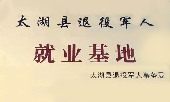 太湖县退役军人就业基地在永成人才市场正式成立